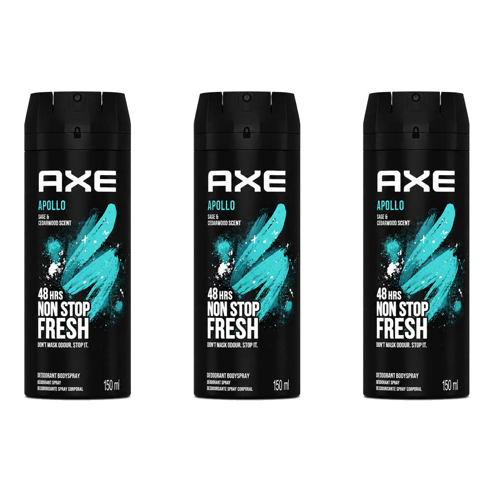 Axe 48HR Deodorant Body Spray